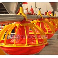 دانخوری بشقابی دانخوری بشقابی